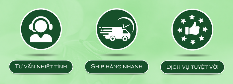Dịch vụ tuyệt vời